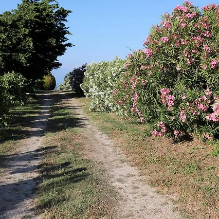 Hébergement de vacances Orfanos 2 *